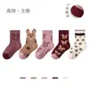 Calcetines Infantiles al por Mayor para Dropshipping 2025 Otoño e Invierno Nuevos Calcetines Cortos de Conejo con Bordes de Algodón Calcetines de Princesa Calcetines para Niñas sin Costuras