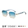 Gafas de Sol Poligonales Recortadas Sin Montura de Leopardo Gafas de Sol Retro Europeas y Americanas para Conducir Moda Protección UV