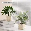Plantas Verdes Artificiales, Flores Falsas, Flores Artificiales, Plantas Pequeñas de Escritorio en Maceta, Adornos Decorativos, Estanterías, Plantas Verdes Artificiales, Accesorios de Fotografía