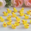 Pato Luminoso para Micro-Paisaje, Pato Luminoso Popular Transfronterizo con Temática de Animales, Decoración con Pegamento de Crema, Pato Luminoso