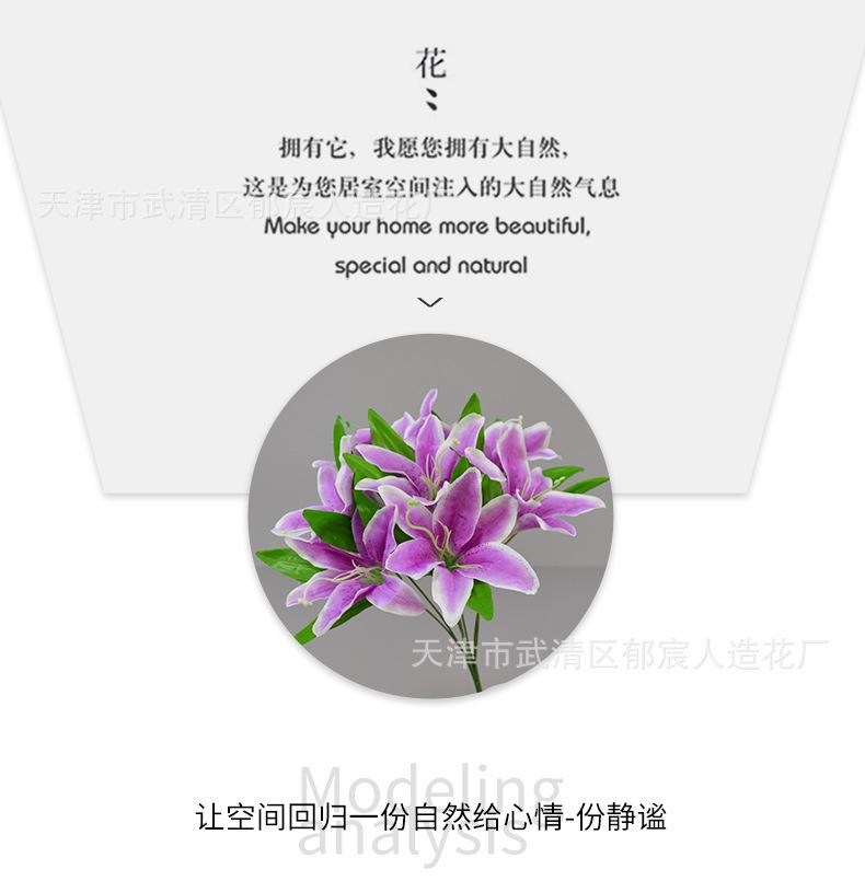 详情_06.png