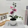 Phalaenopsis Tres Flores Arena Negra Bonsái Decoración del Hogar Planta en Maceta Simulada Flor Artificial Diseño para Fotografía de Bodas Planta Verde Maceta Pequeña