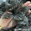 Encaje de organza tridimensional de 14 cm diy degradado flor hecha a mano accesorios de ropa flor decorativa falda de baile de muñeca de ballet