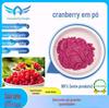 Pó de Cranberry 99% Extrato de Cranberry Pó de Frutas e Vegetais Pó Instantâneo de Cranberry em estoque Fornecimento