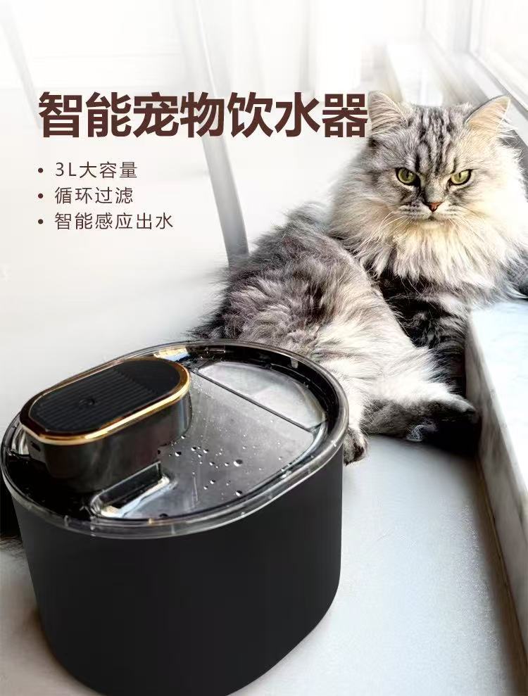 微信图片_20250521152449