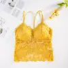 Roupa íntima de renda longa e sexy com costas bonitas para meninas de verão sem aro, top tubinho para usar por cima, colete interno com bojo para mulheres