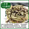 Hierbas Medicinales Chinas Silvestres de Yunnan Sanfangcao Bailingtai Yadatai Cao Cosecha de Temporada Secado al Sol Sin Azufre Producto Genuino Envío Gratis