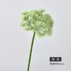 Flor de Renda Simulação Flor de Planta Verde Simples Moderna Flor de Cebola Flor Falsa Dente-de-leão Arranjo de Casamento Espuma Flor de Renda Simulação