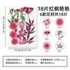Kit de materiales DIY de flores secas mixtas para estilismo de maquillaje, maquillaje facial para retratos personales, especímenes de plantas de flores reales en relieve