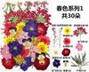 Bolsa de Rafia para Plantas Bolsa de Material para Estampado de Flores Secas Espécimen de Hoja de Flor Real Pintura DIY Marcapáginas Goteo de Pegamento Posavasos de Flores Secas