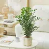 Forma Ins Escandinava Forma Jiuli Planta Verde Fragrante em Vaso Florais Decorações de Mesa de Escritório para Purificar o Ar