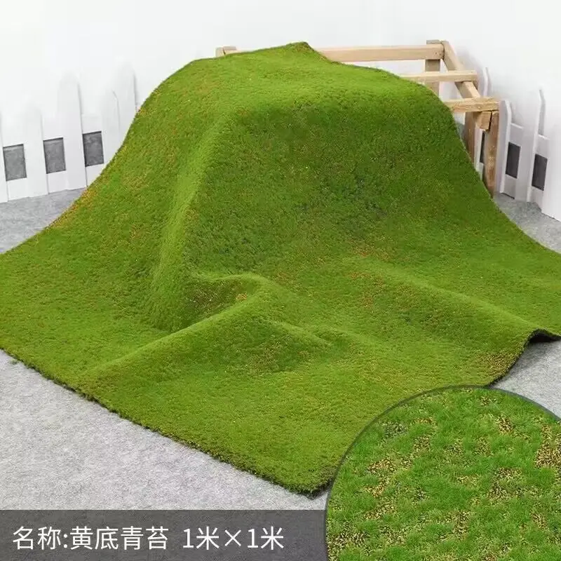 QQ图片20240608090306