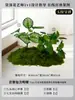 Musgo para Paisajismo de Plantas Verdes Plantas Artificiales Decoración Flores Artificiales Combinación Tropical para Interiores Paisaje de Ventana Persa Arreglo de Césped