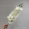 Internet Vermelha Phalaenopsis de Nove Cabeças Casamento Decoração de Casa Flor Artificial Cena Viva Estúdio Fotografia Comércio Exterior Transfronteiriço