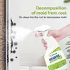 Spray quitamanchas de moho, pasta en gel quitamanchas de moho, elimina manchas de moho y mildiú, limpieza del hogar para paredes y superficies de pared, moho, manchas de mildiú, manchas de moho