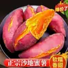 Selección de Batatas Longjiu de Pulpa Amarilla, Frescas y Dulces, Batatas Miel de Cultivo Propio, Batatas Castaña, Recién Sacadas de la Granja