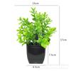 Cruz-fronteira Amazon venda quente combinação simulação vaso de plantas estilo nórdico decoração de mesa de casa mini bonsai planta verde