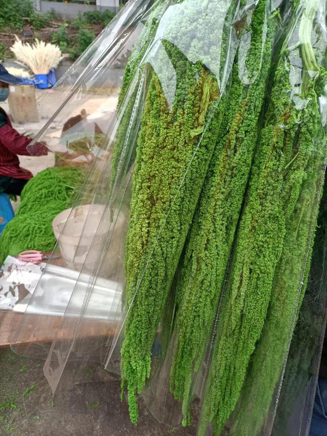 微信图片_20220513103548.jpg