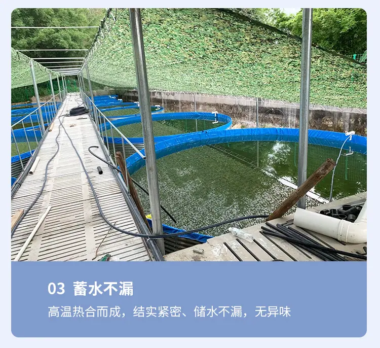 镀锌板鱼池2_14
