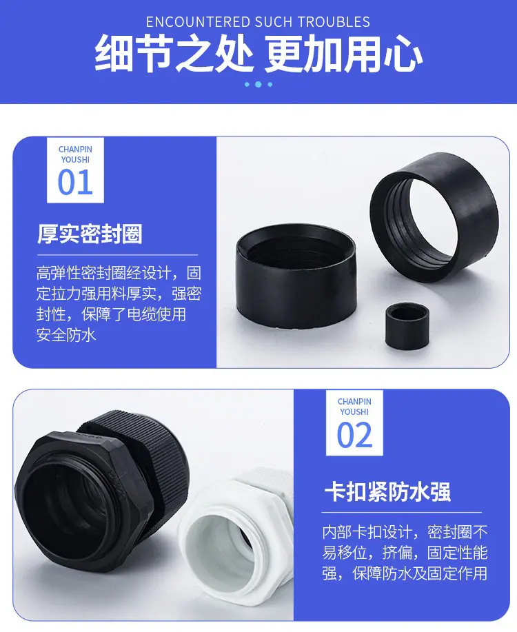 详1 (8).JPG
