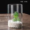 Vaso de vidro borosilicato transfronteiriço garrafa hidropônica cilíndrica reta ornamentos decorativos garrafa em vaso em estoque atacado