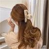 Outono e Inverno novo grampo de cabelo grande de alta qualidade fêmea hairpin back cabeça temperamento tubarão clipe ins estilo high-looking