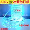 LED220V Ice Blue Light Strip 5050 Stage Home Ceiling Decorative Light Strip Luz Vermelha Luz Azul Pó RGB