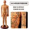 Folha de Cobre para Acupuntura Uso Doméstico Medicina Tradicional Chinesa Silicone Modelo de Diagrama de Meridianos do Corpo Humano com Pontos de Acupuntura