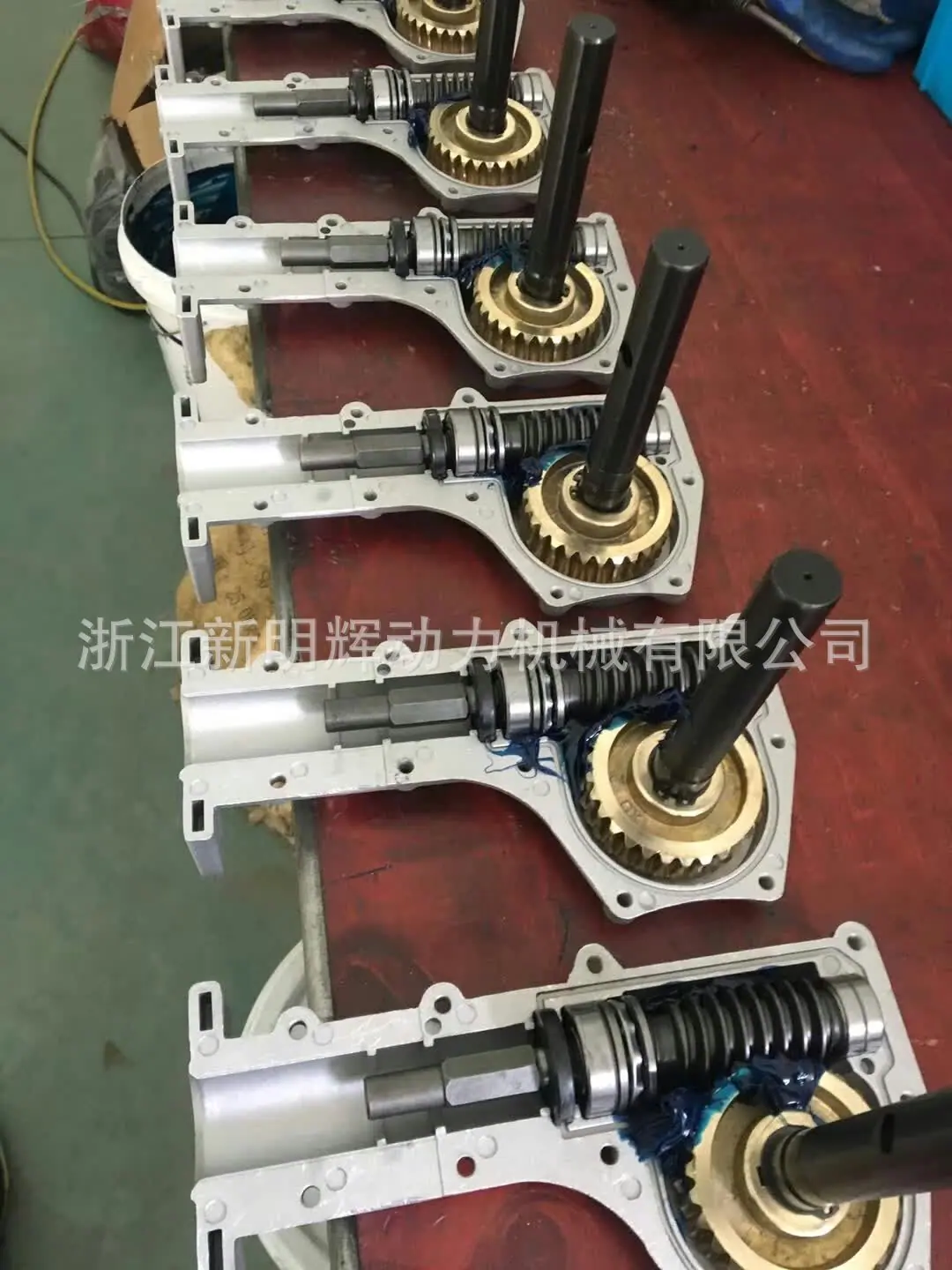 mmexport1553485301058