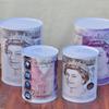 Cofrinho de Lata Redondo Dólar Euro Só Entra Troco para Receber Comércio Exterior