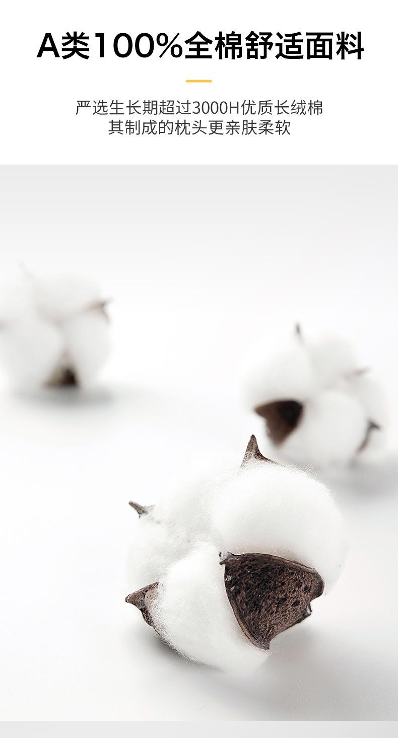 熊猫枕芯_07.jpg
