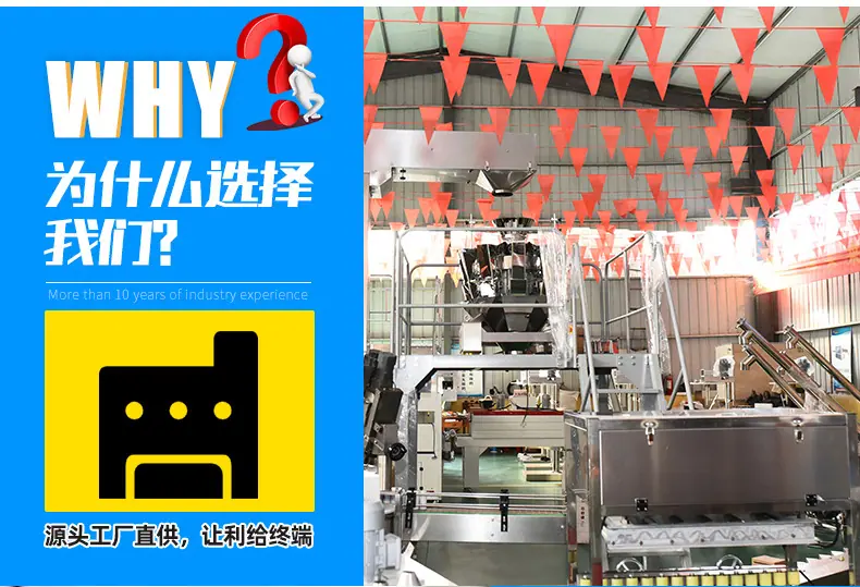 全自动背封粉末包装机_05
