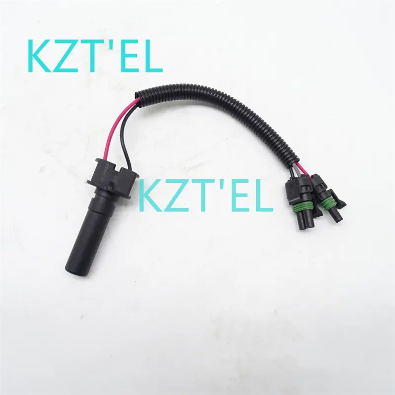 245193C2 (2)