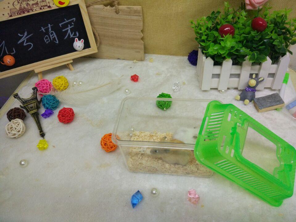 运输盒15 9 11CM    180只每箱