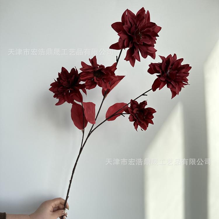 微信图片_20230315164303_副本