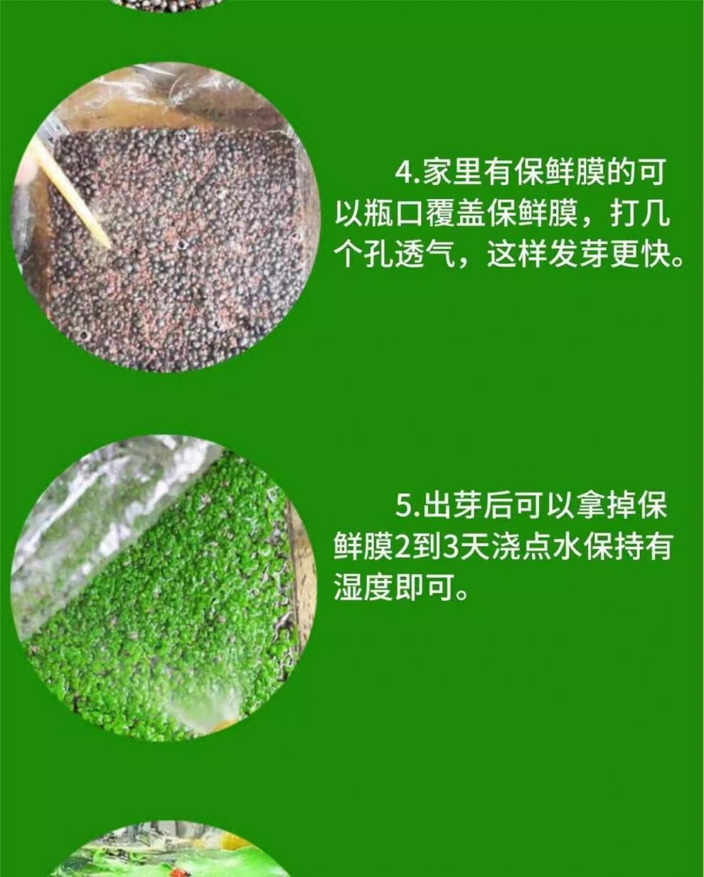 27e683a4-dfd9-47a3-994f-a7be47c0c43a.jpe