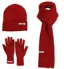 Chapéu, Luvas, Cachecol, Conjunto de Três Peças à Prova de Frio e Quente para o Inverno com Proteção para as Orelhas, Chapéu de Lã Tricotado Fashionável Estilo Coreano para Mulheres