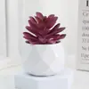 Set de Suculentas Simuladas Plantas Verdes Pequeños Bonsáis Flores Artificiales Transfronterizas Decoración del Hogar Adornos de Escritorio Plantas de Plástico Flores Artificiales