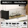 Acuario Stream Tank Acuario de Vidrio Ultra Blanco Acuario para Sala de Estar Paisajismo Ecológico Filtración Generador de Oxígeno Filtro Lateral Stream Tank