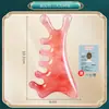 Peine Masajeador de Cabeza Pequeño para Terapia de Meridianos, Peine de Dientes Anchos para Raspado Facial, Peine Portátil para Limpiar Meridianos para Hombres y Mujeres