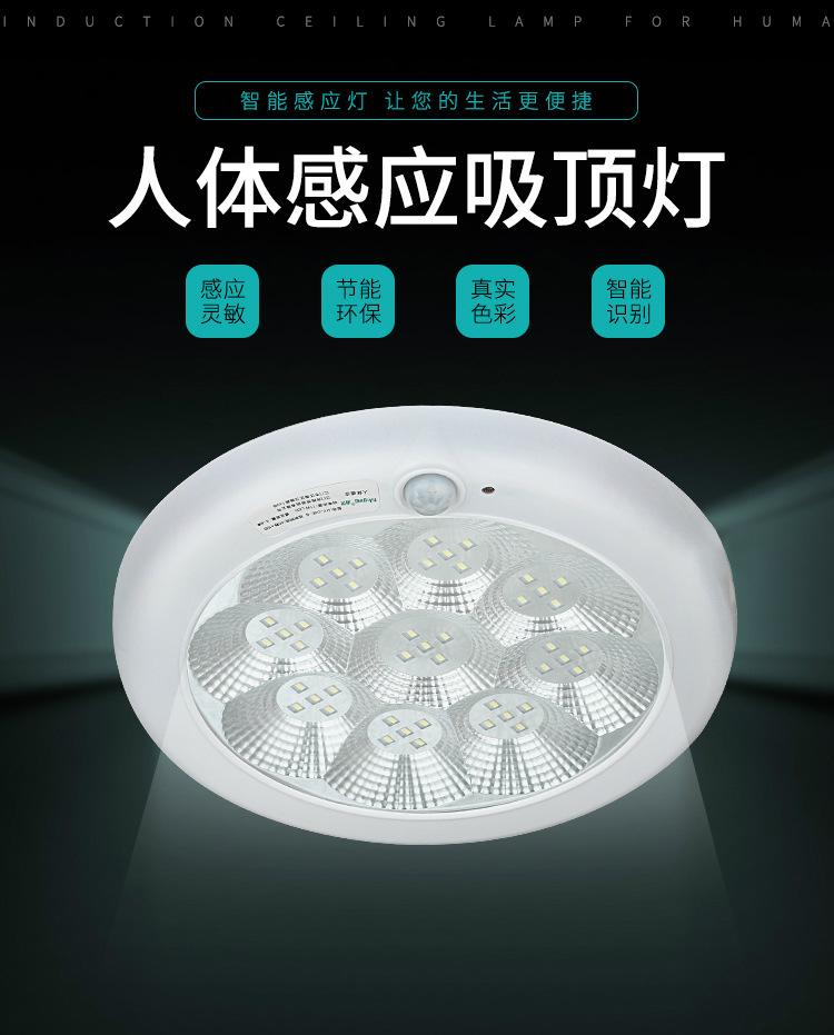 详情_01.jpg