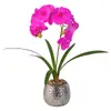 Película de Textura Impresa en 3D Simulación Flor Phalaenopsis Planta en Maceta Lujo Ligero Decoración de Sala de Estar de Casa de Gama Alta Adorno de Flor Artificial
