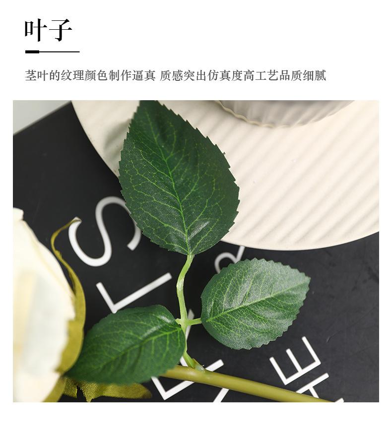 单叶锦瑟玫瑰_11.jpg
