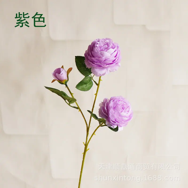 3头洋牡丹紫色11.jpg