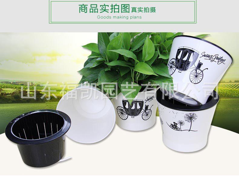 风情款详情页_06