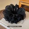 Faixa de Cabelo de Renda para Florista Íris, Faixa para Rabo de Cavalo Diário e Coque, Acessórios de Cabelo, Estilo Versátil e Suave Francês
