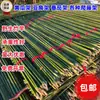 Treliça de bambu para horta várias prateleiras para vegetais prateleira de bucha prateleira de pepino prateleira de feijão prateleira de tomate prateleira para plantas trepadeiras mastro de bandeira colorido