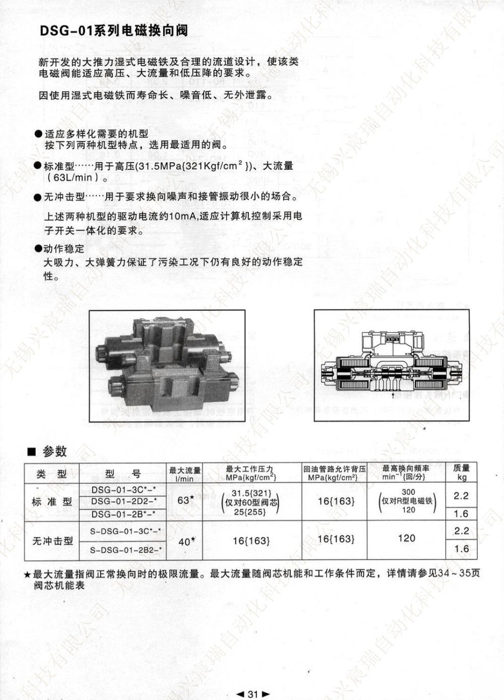 31 DSG-01.jpg