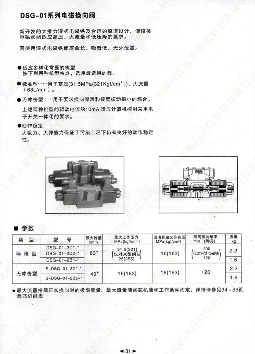 31 DSG-01.jpg