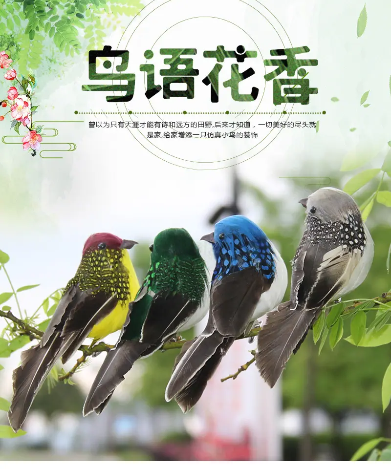 羽毛小鸟_01.jpg